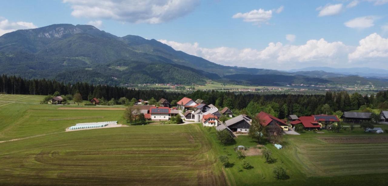 Apartment With Mountain View And Rivers Close By Smartno ob Dreti Kültér fotó