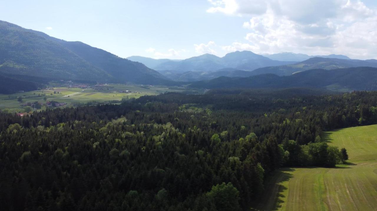 Apartment With Mountain View And Rivers Close By Smartno ob Dreti Kültér fotó