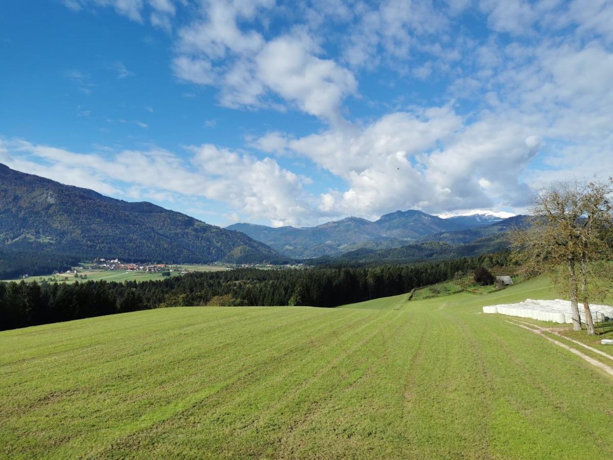 Apartment With Mountain View And Rivers Close By Smartno ob Dreti Kültér fotó